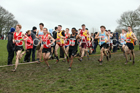 Senior boys 2019 New Balance English Schools Cross Country Champs, Temple Newsam, Leeds. Photo:  David T. Hewitson/Sports for All Pics